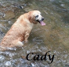 Cady Pyzewski .2006-2015